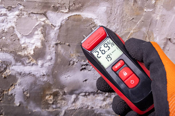 Best Attic Mold Removal  in Ballenger Creek, MD