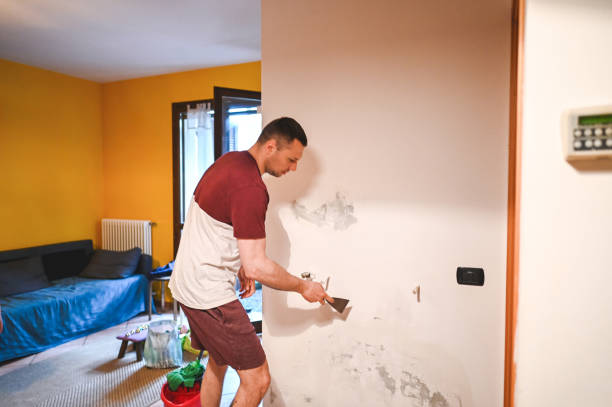 Best Residential Mold Removal  in Ballenger Creek, MD